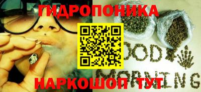 стафф Абакан