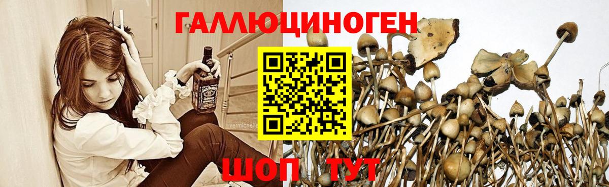 Псилоцибиновые грибы прущие грибы  Галлюциногенные грибы мухоморы  Амурск  Вход с VPN 